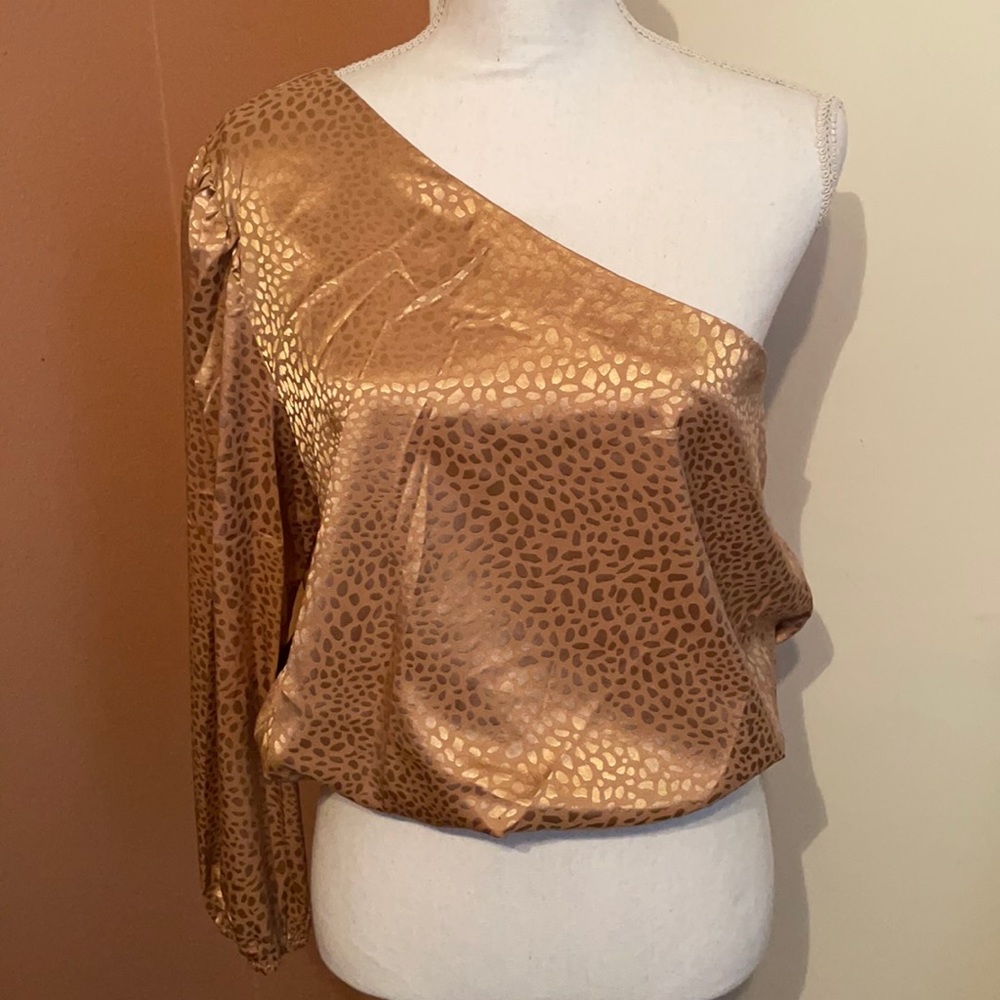 “Shein” Dark Gold One Long Sleeved Blouse!